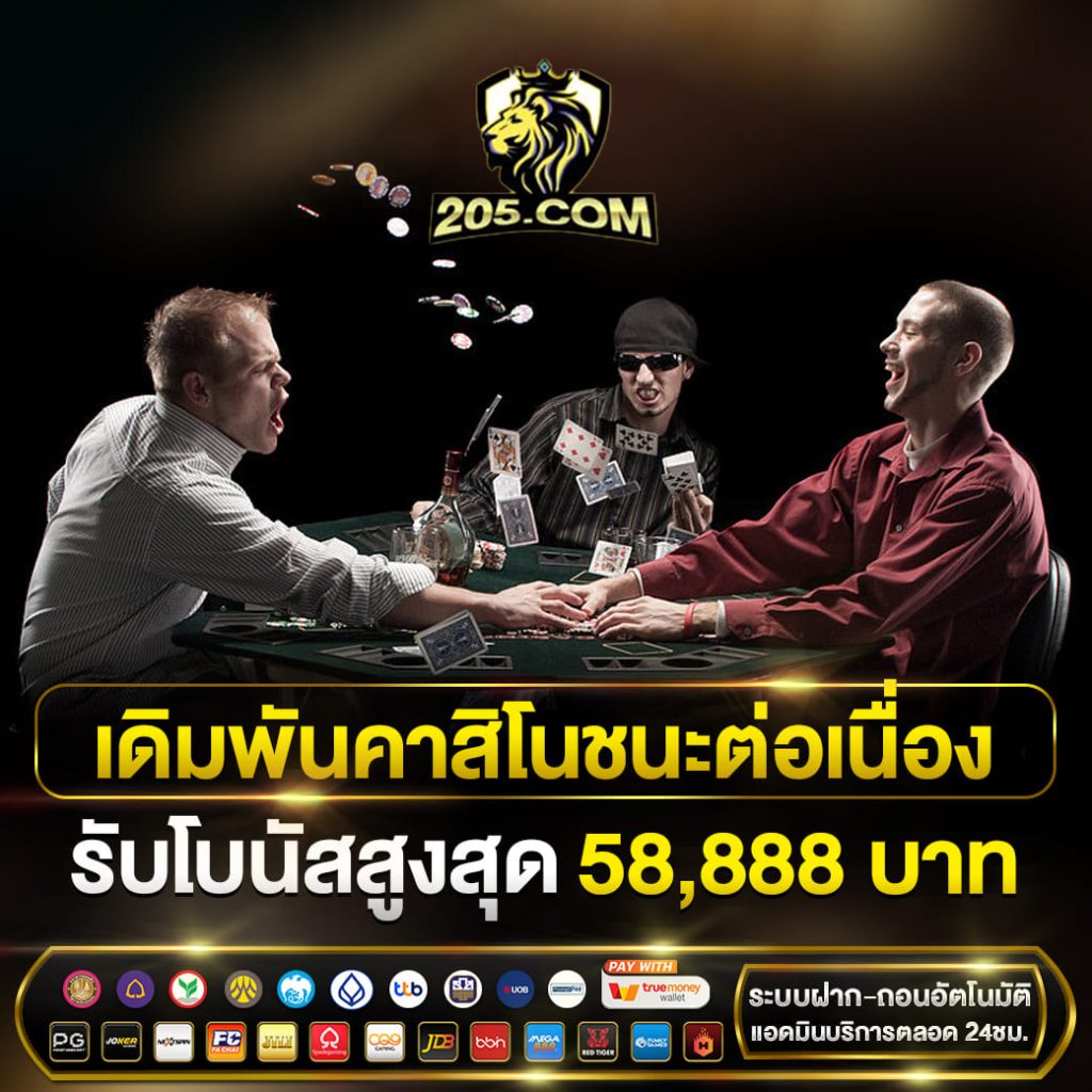 205 casino online